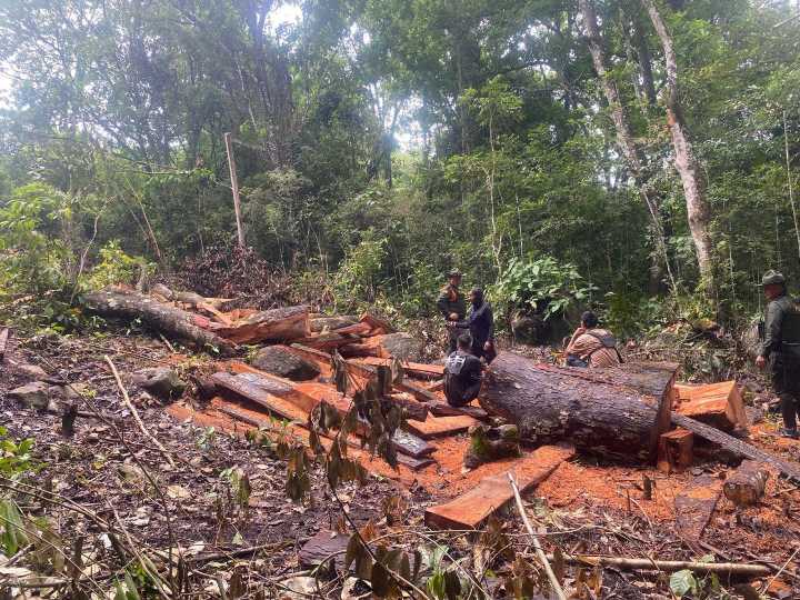 Estas son las infracciones ambientales que más se cometen en el Huila