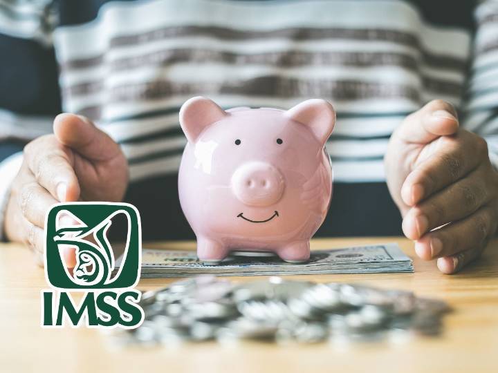 Renta vitalicia del IMSS: estas son las aseguradoras con las que sí puedes contratarla