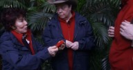 Reason why ITV I'm A Celebrity star Ruby Wax gave Angry Ginge her underwear