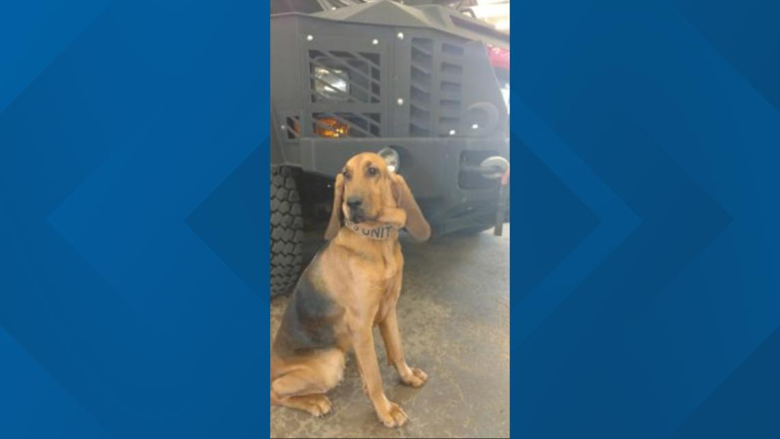 NYSP bloodhound helps find missing hunter