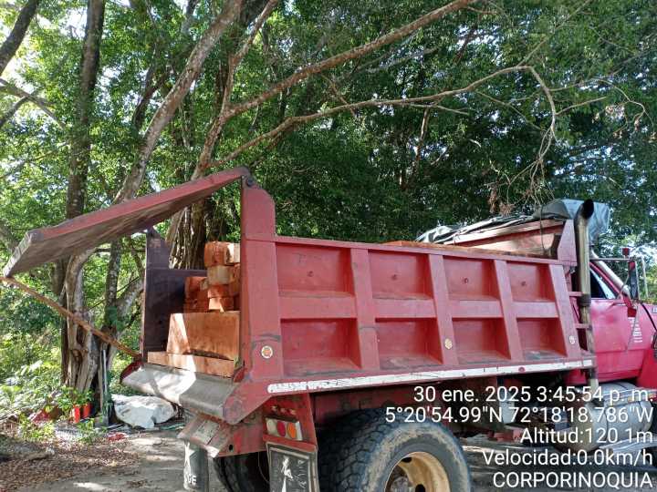 Tres personas fueron capturadas por transportar productos forestales de manera ilegal.