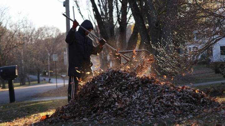 Your questions about 'Leaving the Leaves' in your yard answered
