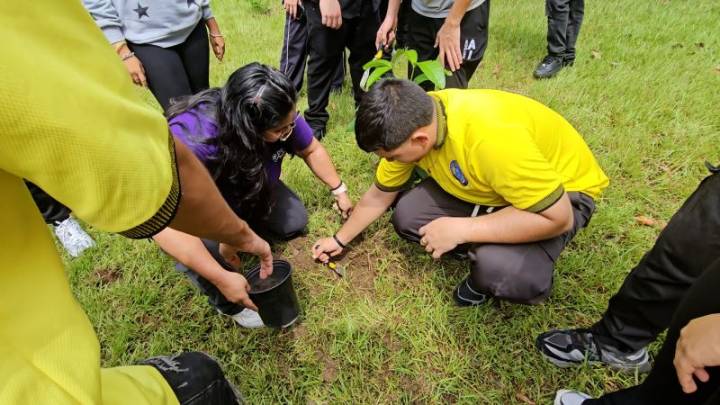 Educación ambiental en Puerto Rico: estudiantes reforestan su escuela plantando árboles