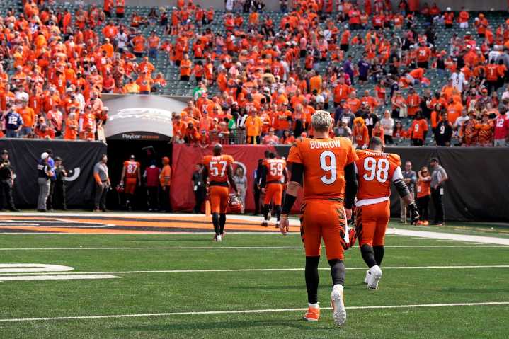 How the Bengals’ fortunes have changed since the last time they played the Patriots: Roundup