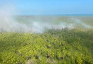Conanp: No fue premeditado incendio de Holbox