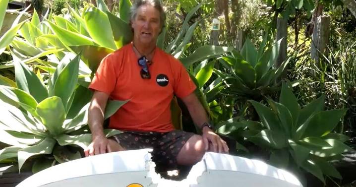 Australian windsurfer says shark "hit me like a freight train," but he can't wait to get back in the water