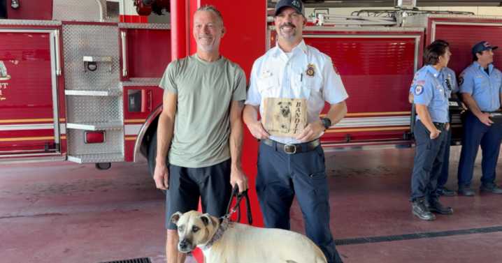 Clearwater dog reunites with firefighters who saved his life during house fire rescue