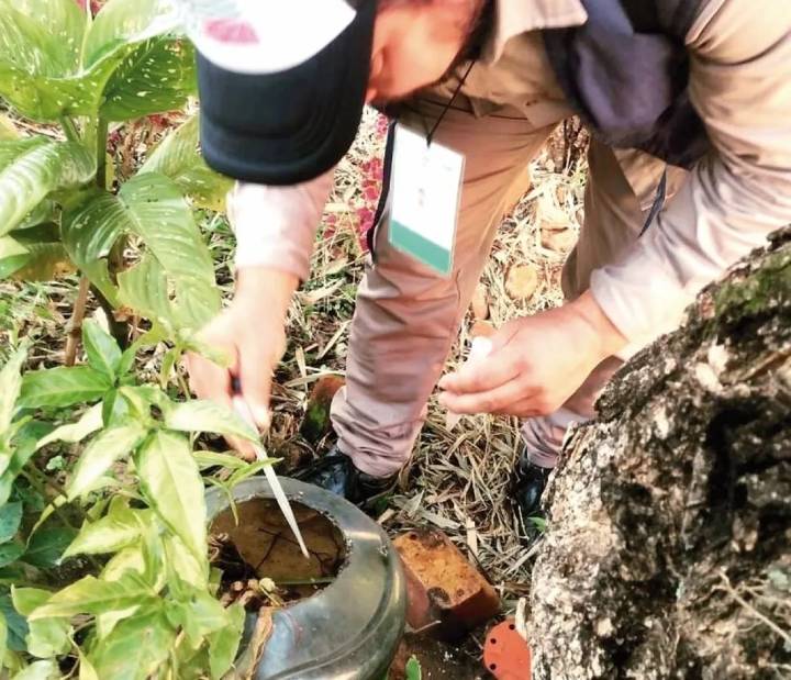 Ultiman detalles para un nuevo operativo Liraa en Posadas que se iniciará este martes 2 de diciembre