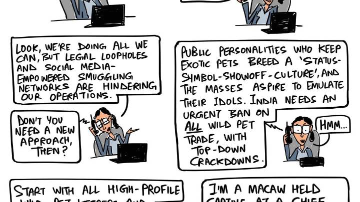 On wild pet smuggling in India | Green Humour by Rohan Chakravarty