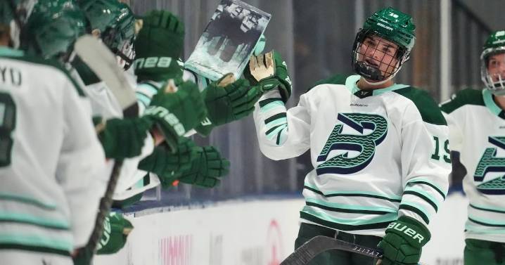 PWHL: Boston Fleet beat Toronto Sceptres 3