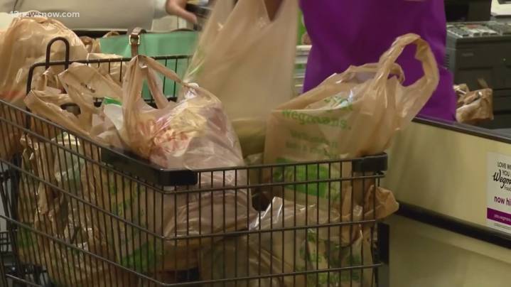 Virginia Beach environmental group pushes for plastic bag usage fee
