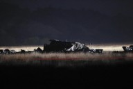 Mueren las 20 personas a bordo de un avión militar turco que se estrelló en Georgia