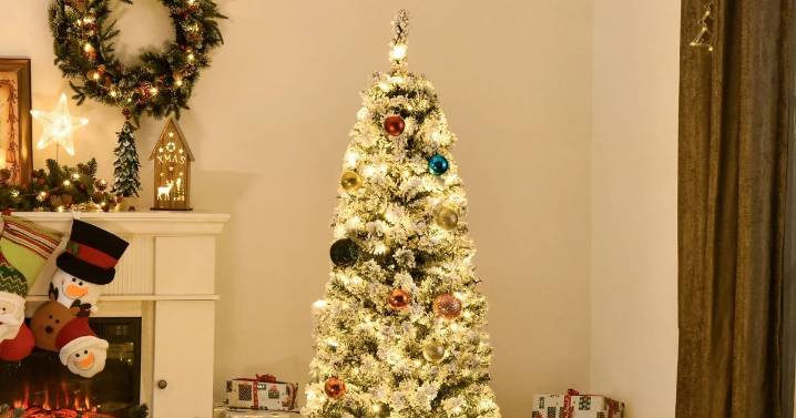 Pre-lit artificial Christmas tree that 'looks real' and 'makes life easier' slashed to £34