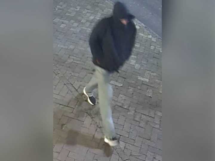 Search underway for missing college student last seen early on Halloween: Police