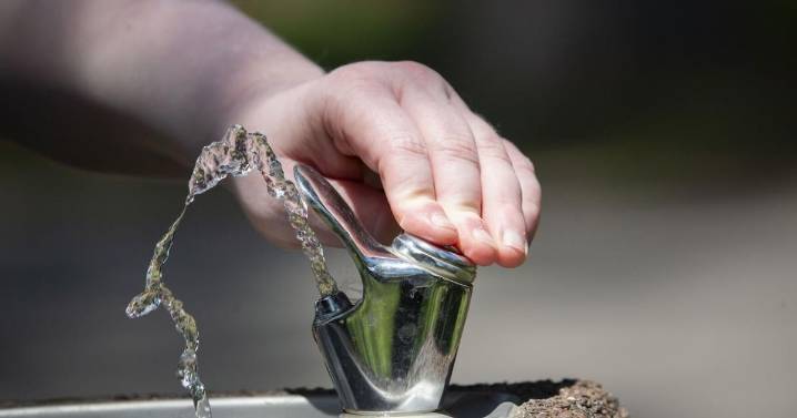 Fluoride in drinking water does not negatively affect cognitive ability — and may actually provide benefit, study finds