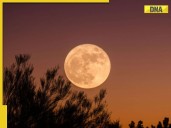 What is Beaver Supermoon 2025? When and where to see this year’s biggest moon
