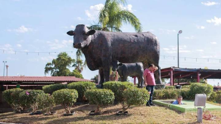 Rocha propondrá 10 millones de pesos más para fortalecer programas ganaderos en Sinaloa