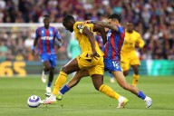 Matchday Quiz: Name every English league club with an animal