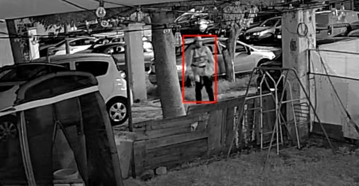 Ladridos de un perro ahuyentaron a un ladrón en Lomas de San Pedrito Peñuelas