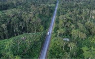 Áreas protegidas en riesgo: 830,500 kilómetros de carreteras amenazan a 3,837 reservas sudamericanas