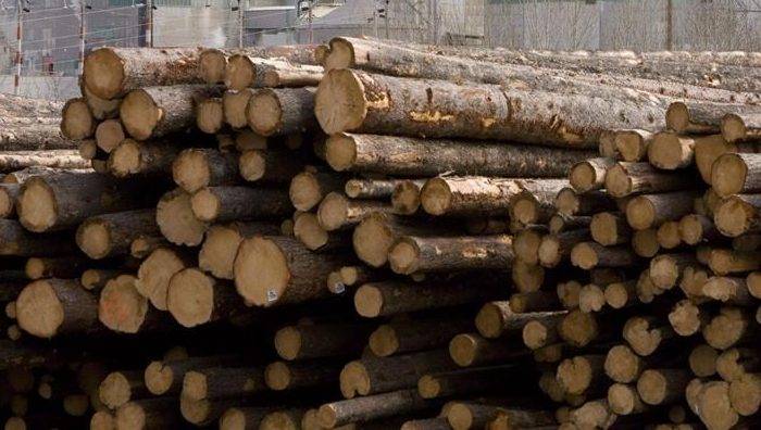 B.C. lumber mill closing down amid U.S. tariff pressure
