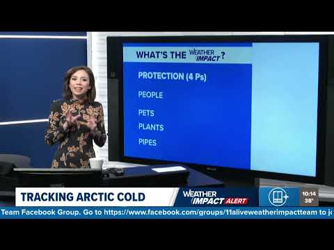 What to protect during this Arctic Cold in Georgia