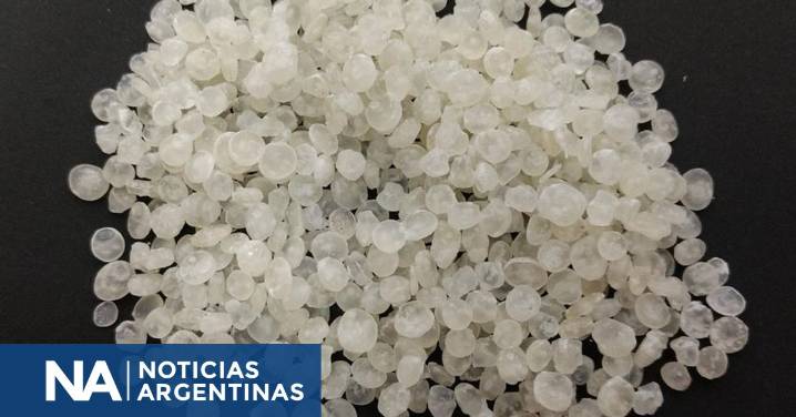 Misiones: desarrollan bolsas biodegradables a partir de almidón de mandioca