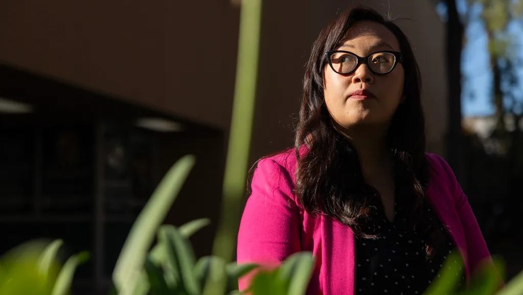 Young Democrats challenge veteran House members in safe blue seats