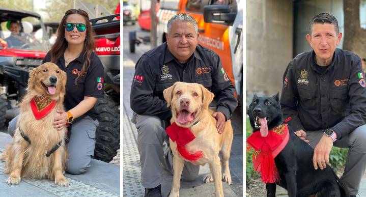 Se roban miradas 'perritos revolucionarios' en el desfile