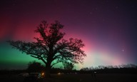 FOTOS: Así se vieron las auroras boreales en Estados Unidos