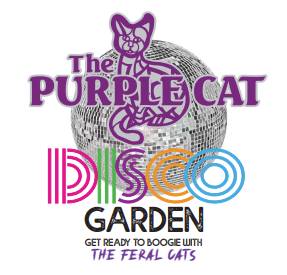 Purple Cat opens its dance floor for fall open house