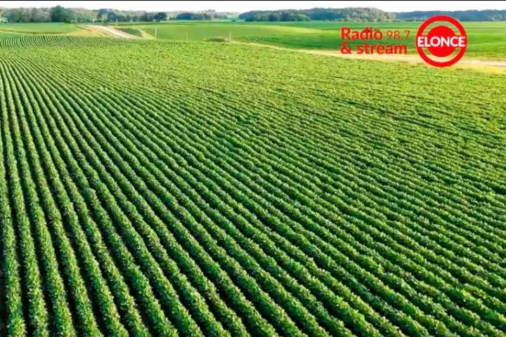 Producción agrícola en Entre Ríos y suba del precio de la soja: impacto de las retenciones y perspectivas