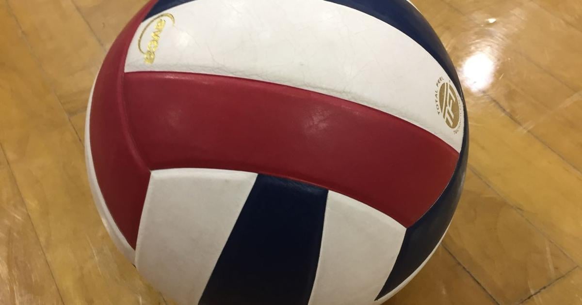 Scholastic volleyball/soccer/hockey roundup | Bald Eagle Area snags win over Central Cambria in 6-2A volleyball semis