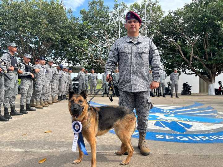 Despedida con honores a “Lola”: canino militar culmina su servicio a la nación
