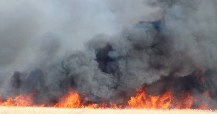 Hunters escape on foot from 350-acre fire in Waushara County
