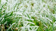Frost: Understanding the different icy formations you might encounter
