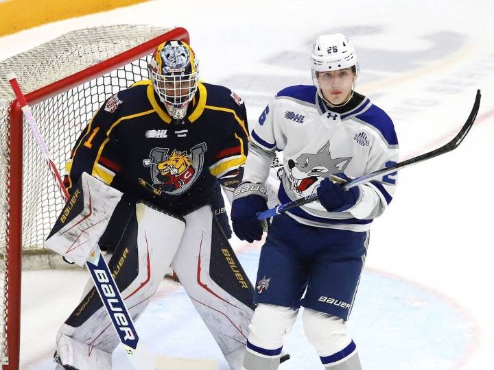 Sudbury Wolves struggle on special teams in loss to Barrie | Grande Prairie Daily Herald Tribune