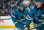 Sharks place tough guy Reaves on IR, recall forward from San Jose Barracuda