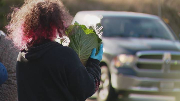 ICE arrest in Everett heightens fear at Thanksgiving food giveaway