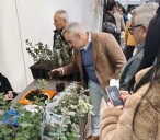 Barrachina pone en valor a los jóvenes agricultores del Alto Palancia