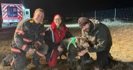 Denver area firefighters rescue dog trapped in culvert
