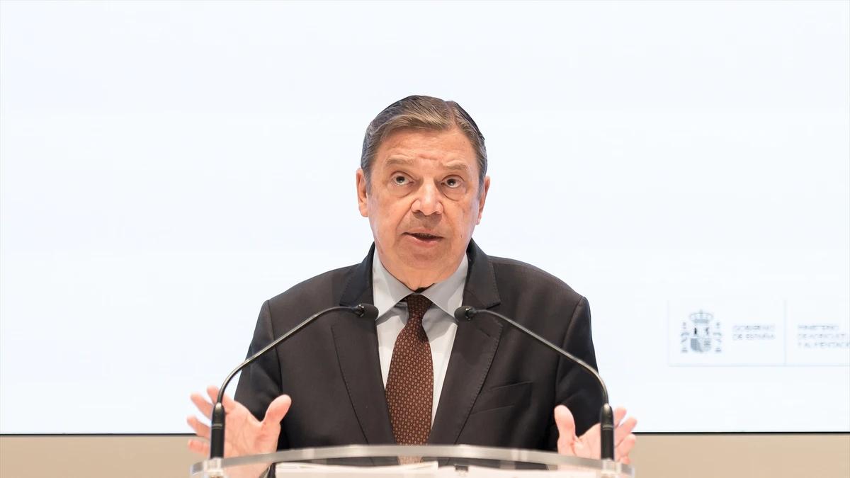 Planas dice que se investiga el origen del brote de peste porcina y que se trabaja para limitar "al máximo" su impacto económico