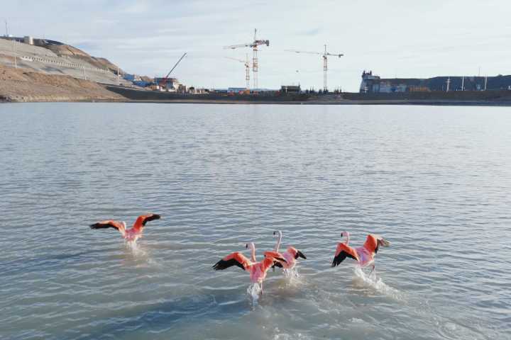 Lento avance. La obra que podría convertirse en el elefante blanco más austral del mundo