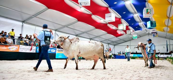 Monagas Expo Agroindustrial mostró lo mejor de lo mejor de la ganadería nacional