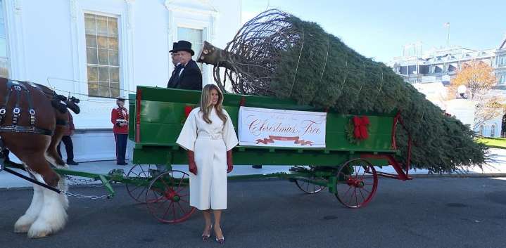 Melania Trump accepts Michigan’s first White House Christmas tree in 40 years