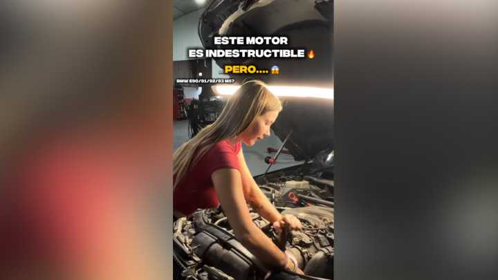 Ann Suki, mecánica: "Si tienes este motor en tu coche del 2007, déjame decirte que es indestructible, pero tiene un grave problema"