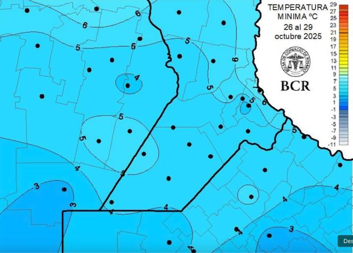 “Comparables al sudeste bonaerense”. El trigo se salvó del frío y se encamina para hacer historia