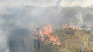 MP News: Despite Ban, Stubble-Burning Continues To Plague State; Highest Number Of Cases Recorded In Gwalior Division