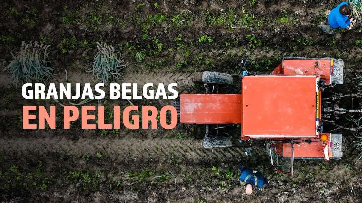 Vídeo | Las granjas de Bélgica están en peligro