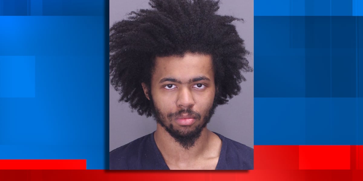 Michigan man arrested for using fake $100 bills to buy pizza